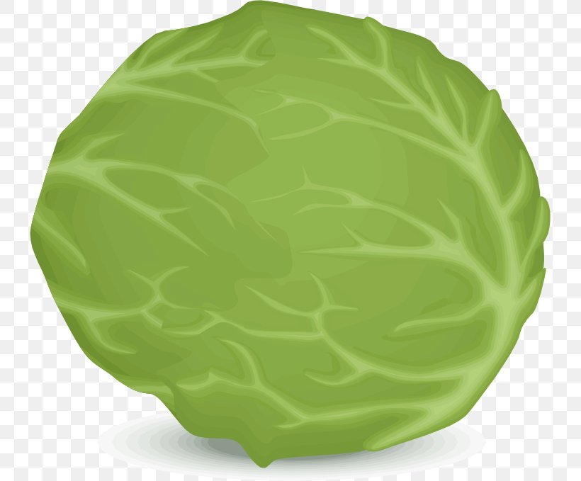 Iceberg Lettuce Leaf Vegetable Clip Art, PNG, 735x679px, Iceberg Lettuce, Cabbage, Collard Greens, Food, Green Download Free