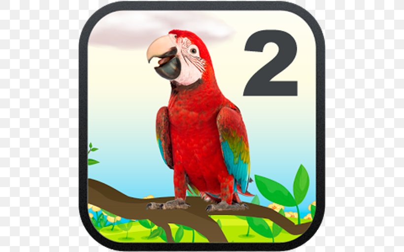 Macaw Beak Fauna Loriini, PNG, 512x512px, Macaw, Beak, Bird, Fauna, Loriini Download Free