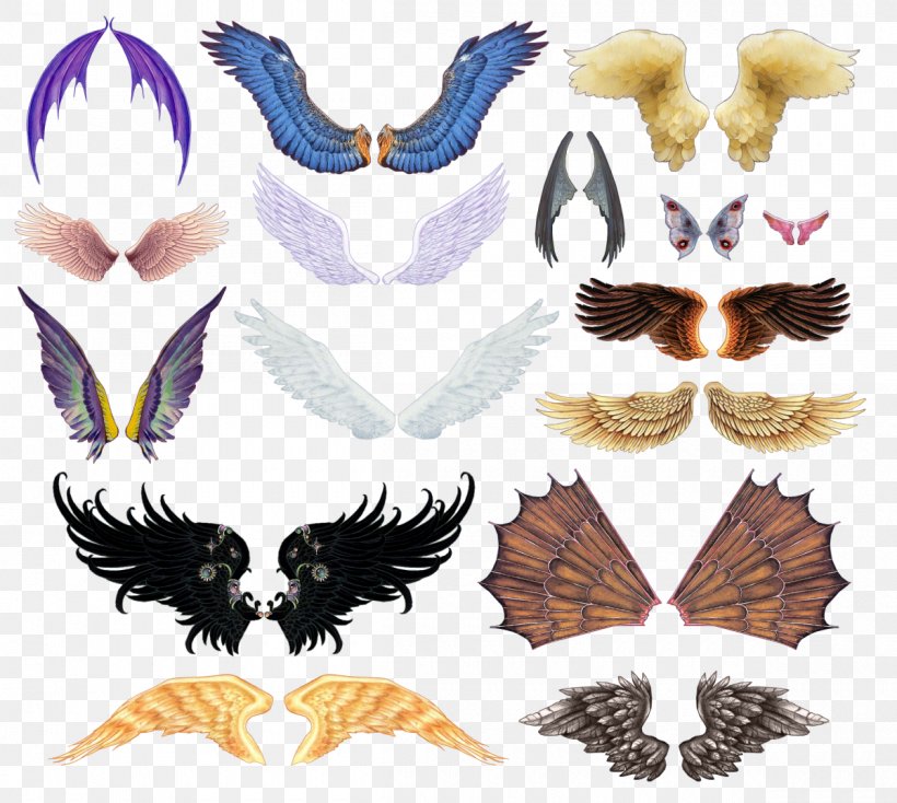 The Explorer's Guide To Drawing Fantasy Creatures Clip Art, PNG, 1200x1075px, Feather, Beak, Claw, Computer Software, Fantasy Download Free