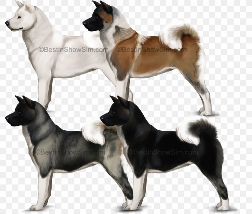 Akita Seppala Siberian Sleddog East Siberian Laika West Siberian Laika Shikoku, PNG, 860x730px, Akita, Akita Inu, Ancient Dog Breeds, Canaan Dog, Carnivoran Download Free