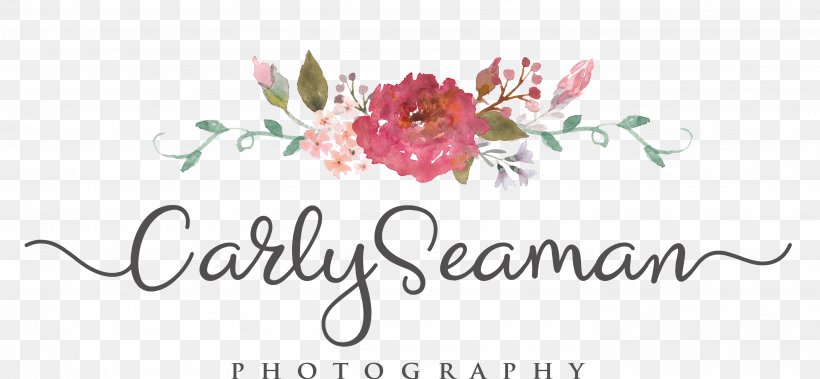 Floral Design Logo Photography Watercolor Painting Business Cards, PNG, 2813x1303px, Floral Design, Art, Brand, Business Cards, Calligraphy Download Free
