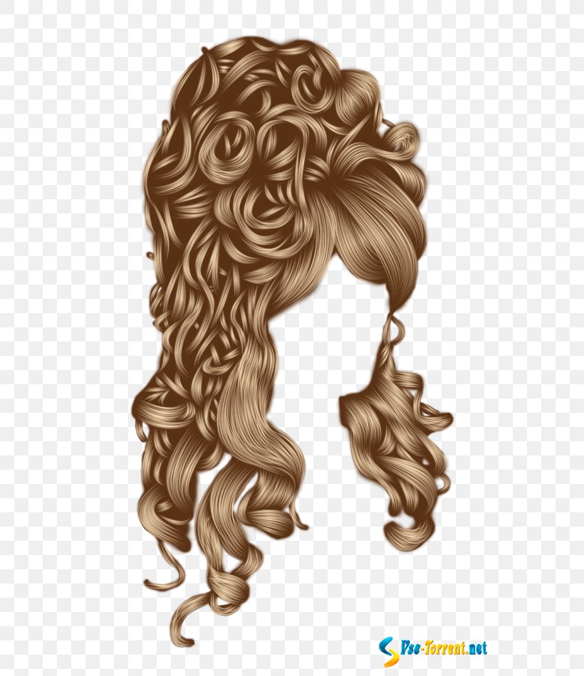 Long Hair Wig Hairstyle Capelli, PNG, 570x950px, Long Hair, Brown Hair, Capelli, Dip Dye, Hair Download Free