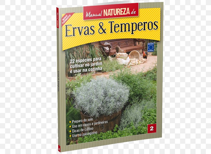 Condiment Herbaceous Plant Fines Herbes Cumin Jardim De Ervas, PNG, 600x600px, Condiment, Advertising, Cultivar, Cumin, Ecosystem Download Free