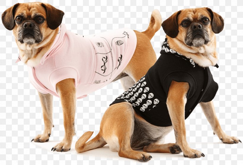Puggle Puppy Dogs Refuge Home Dog Breed, PNG, 902x612px, Puggle, Coat, Companion Dog, Designerhunder, Dog Download Free