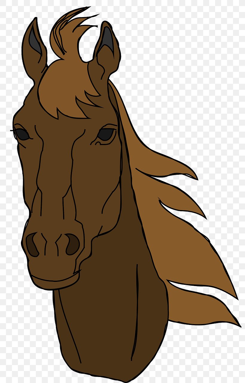 Arabian Horse American Quarter Horse Mustang Clip Art, PNG, 796x1280px, Arabian Horse, American Quarter Horse, Art, Black, Bridle Download Free