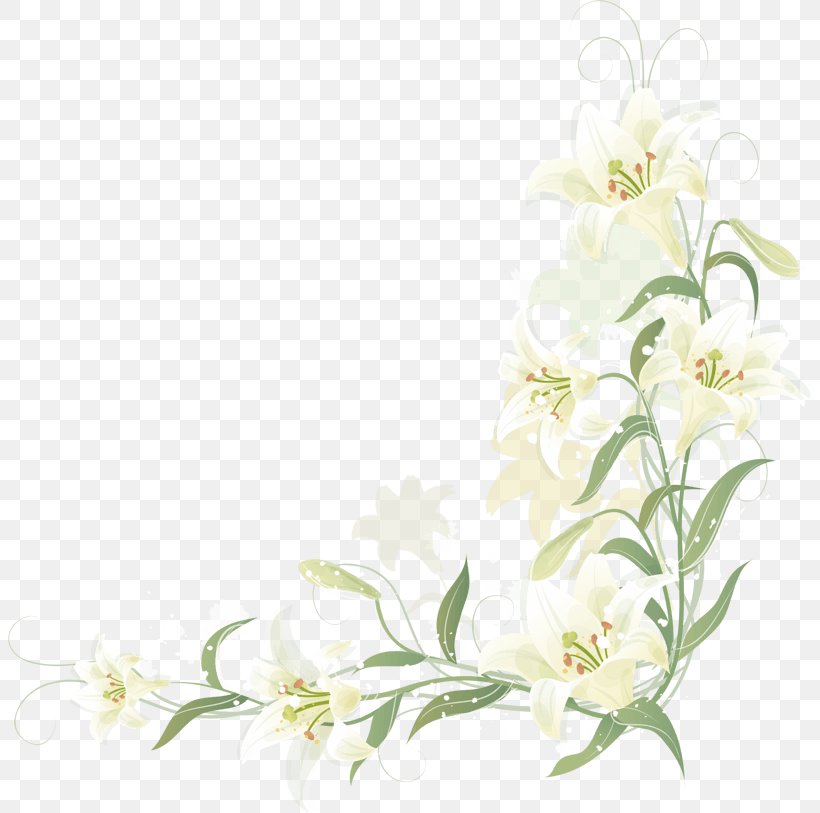 Floral Design Cut Flowers Image Clip Art, PNG, 803x813px, Floral Design, Blossom, Branch, Cut Flowers, Drawing Download Free