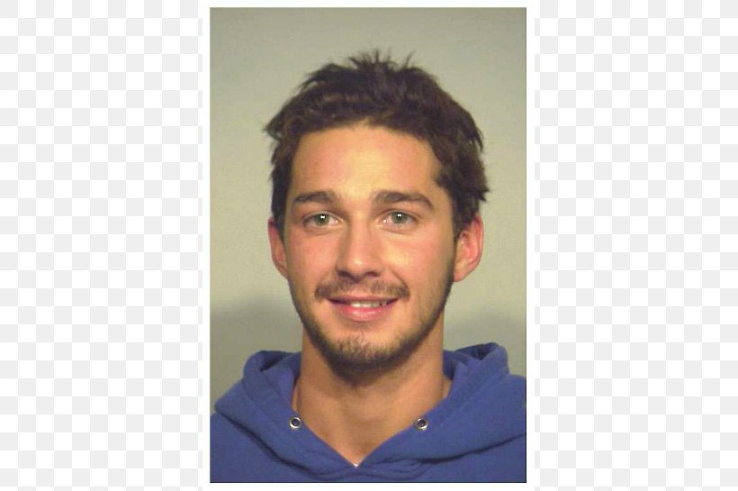 Shia LaBeouf Transformers Mug Shot Arrest Actor, PNG, 725x545px, Shia Labeouf, Actor, Arrest, Beard, Celebrity Download Free