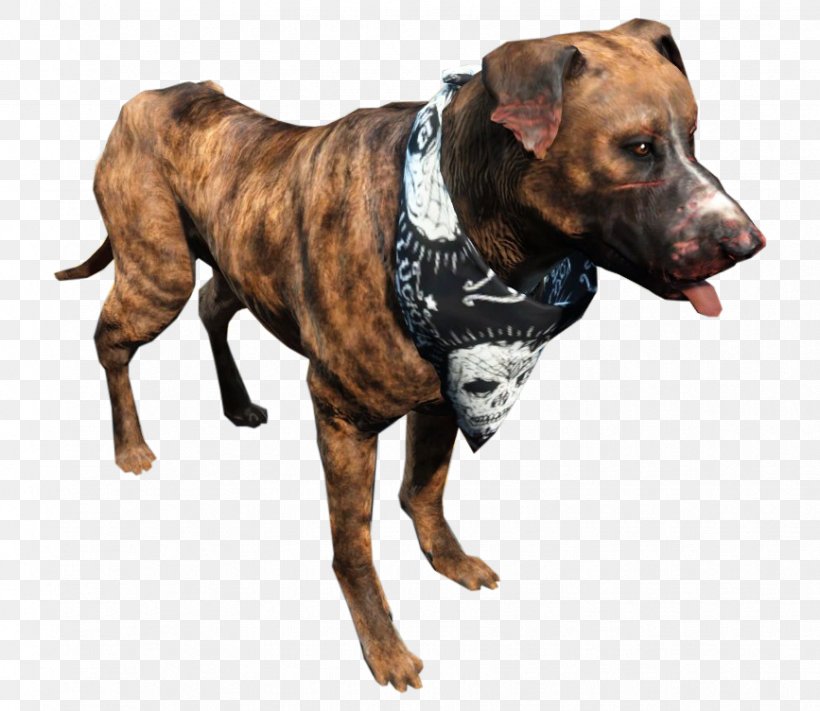 American Pit Bull Terrier Fallout 4: Far Harbor Fallout: New Vegas, PNG, 867x752px, American Pit Bull Terrier, Animal, Attack Dog, Canidae, Carnivoran Download Free