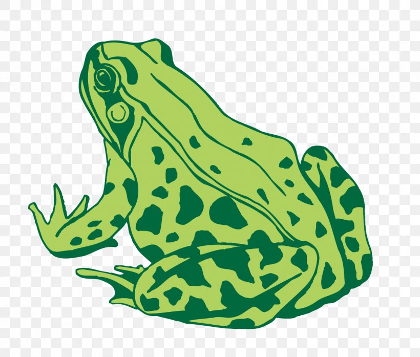 Toad Frog Euclidean Vector, PNG, 1221x1038px, Toad, Amphibian, Animal, Art, Fauna Download Free