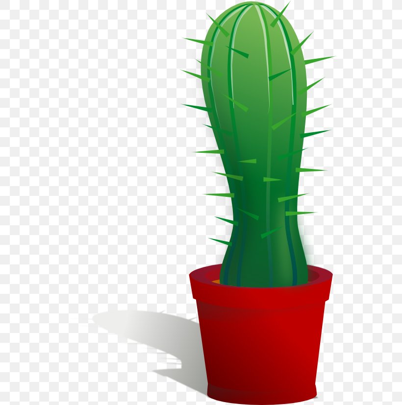 Cactaceae Clip Art, PNG, 555x827px, Cactaceae, Animation, Blog, Cactus, Caryophyllales Download Free