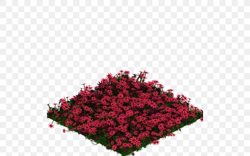 Flower Annual Plant Shrub Groundcover Pink M, PNG, 512x512px, Flower, Annual Plant, Grass, Groundcover, Magenta Download Free