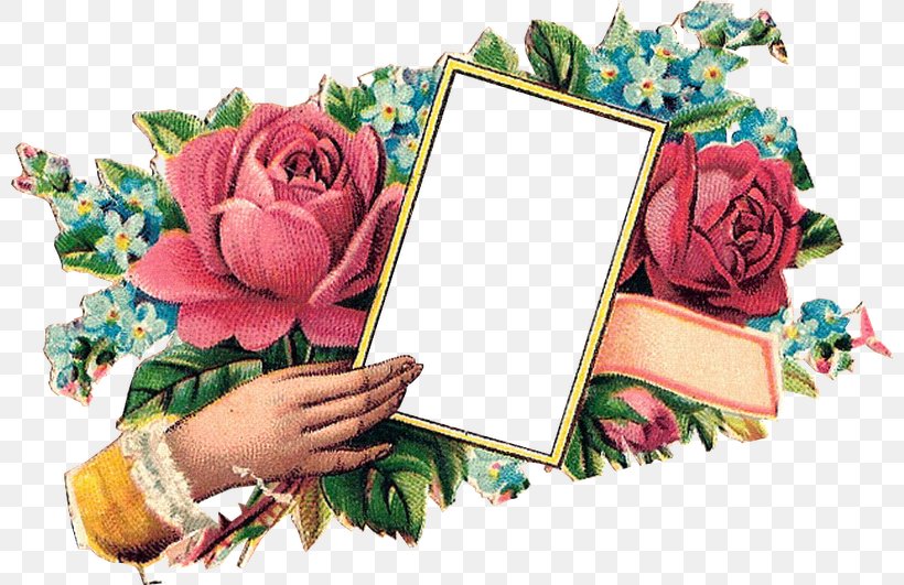 Garden Roses Bokmärke Flower Gift Clip Art, PNG, 800x531px, Garden Roses, Birthday, Cut Flowers, Floral Design, Floristry Download Free