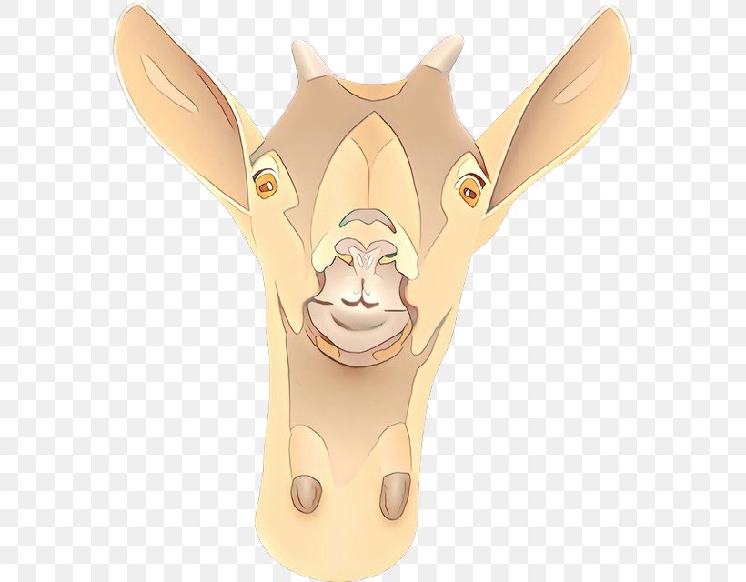 Head Cartoon Snout Working Animal Clip Art, PNG, 573x640px, Cartoon, Fawn, Head, Snout, Working Animal Download Free