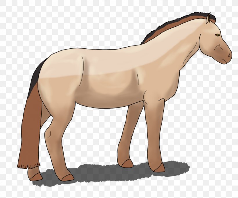 Mane Mustang Pony Foal Stallion, PNG, 1024x854px, Mane, Animal Figure, Bridle, Colt, Colt S Manufacturing Company Download Free
