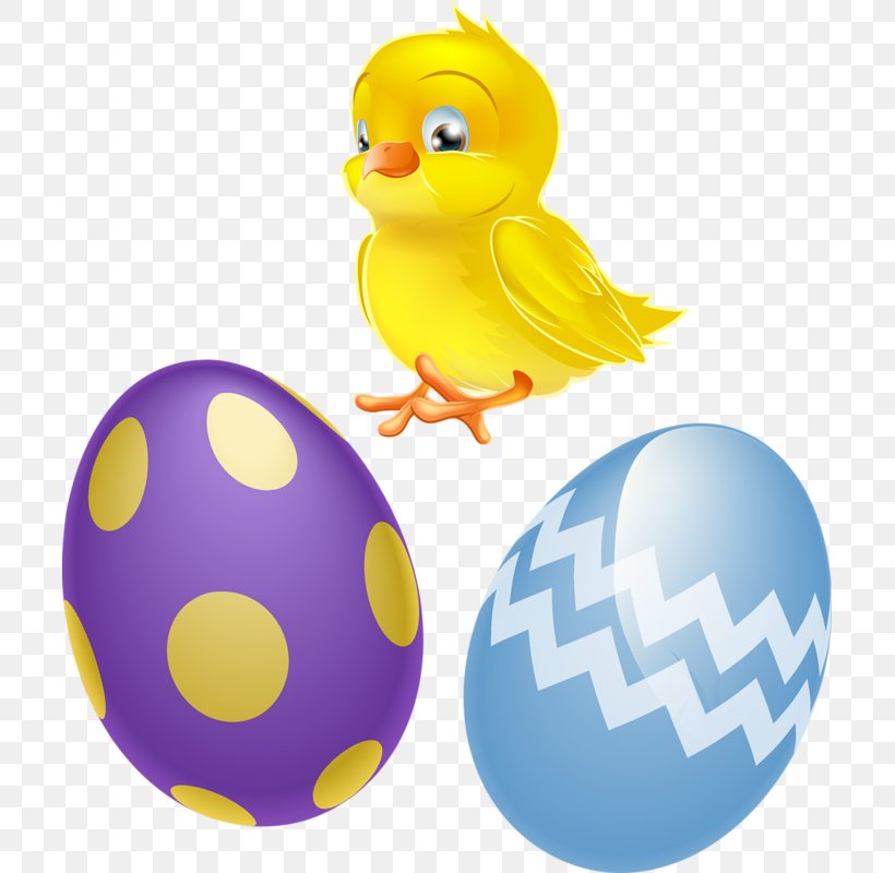 Chicken Easter Egg Clip Art, PNG, 705x800px, Chicken, Beak, Bird, Cartoon, Ducks Geese And Swans Download Free