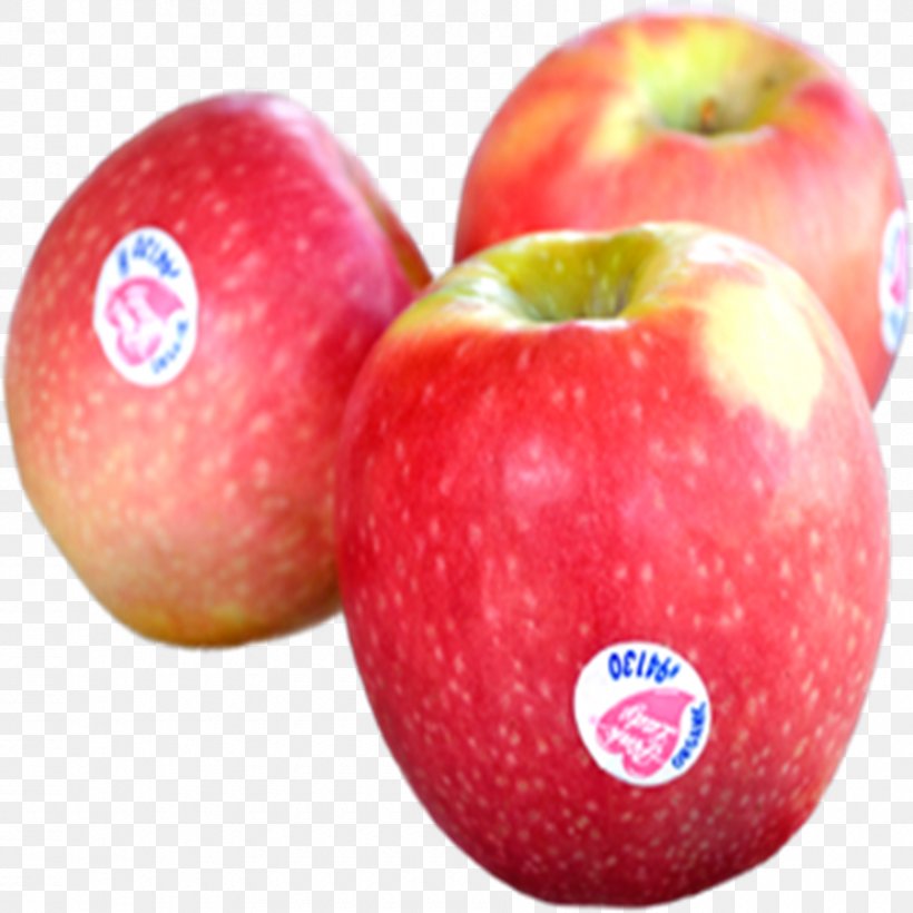 Cripps Pink Apple Fruit Pink Pearl Gala, PNG, 900x900px, Cripps Pink, Accessory Fruit, Apple, Apples, Cooking Download Free