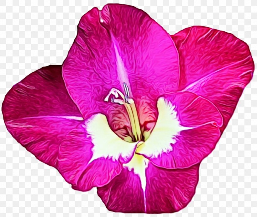 Flower Flowering Plant Petal Pink Purple, PNG, 973x822px, Watercolor, Flower, Flowering Plant, Hibiscus, Magenta Download Free