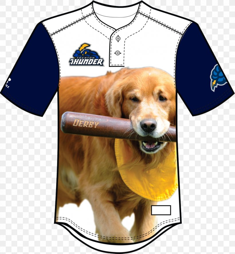 Golden Retriever Trenton Thunder Puppy New York Yankees Dog Breed, PNG, 1016x1098px, Golden Retriever, Bark, Carnivoran, Companion Dog, Dog Download Free
