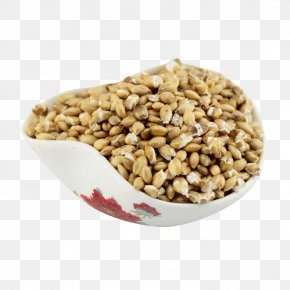Fried Rice Barley - Tibetan Cuisine Barley Wine Fried Rice Cereal Highland Barley PNG