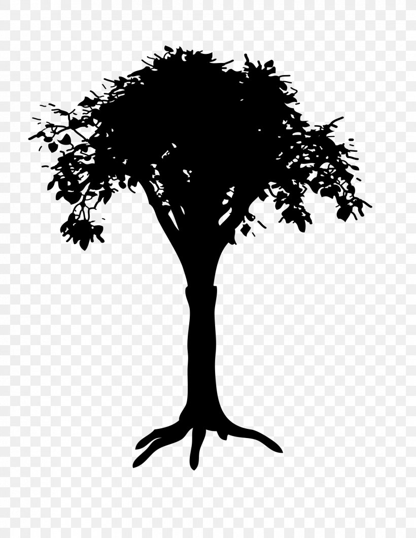 Tree Drawing Clip Art, PNG, 1855x2400px, Tree, Black And White, Branch, Diagram, Drawing Download Free