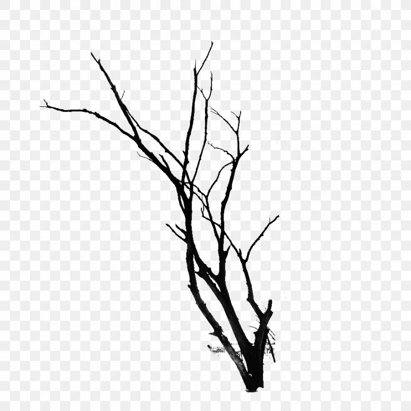 Twig Branch Tree, PNG, 900x900px, Branch, Black, Black And White, Gratis, Illustration Download Free