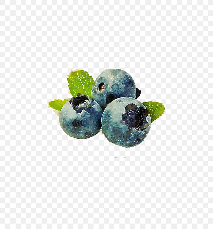 Bilberry Fruit Muffin Vaccinium Corymbosum, PNG, 658x881px, Berry, Antioxidant, Bilberry, Blackberry, Blueberry Download Free