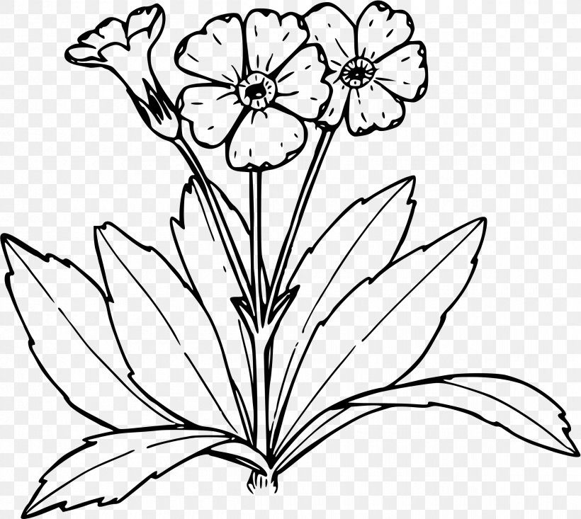 Coloring Book Primrose Drawing Tree, PNG, 2400x2148px, Coloring Book, Art, Artwork, Black And White, Branch Download Free