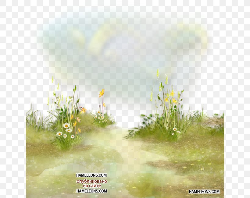 Flower Grass Herbaceous Plant Clip Art, PNG, 650x650px, Flower, Autumn, Calm, Ecoregion, Ecosystem Download Free