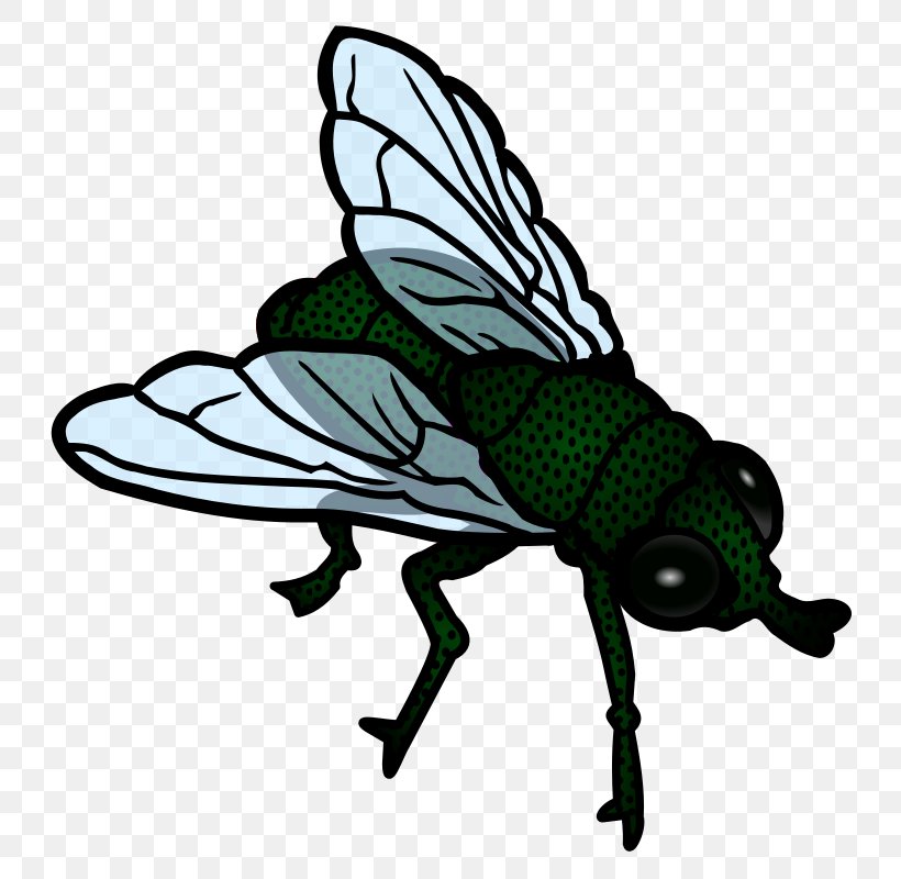 Fly Pterygota Clip Art, PNG, 783x800px, Fly, Arthropod, Blog, Flykilling Device, Free Content Download Free