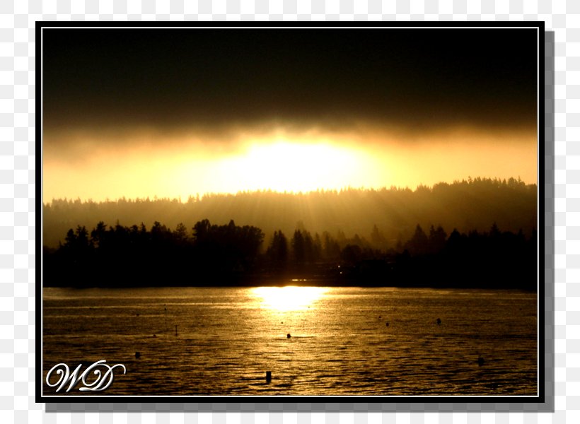 Sunrise Art Sunset Evening Morning, PNG, 800x600px, Sunrise, Art, Artist, Calm, Community Download Free