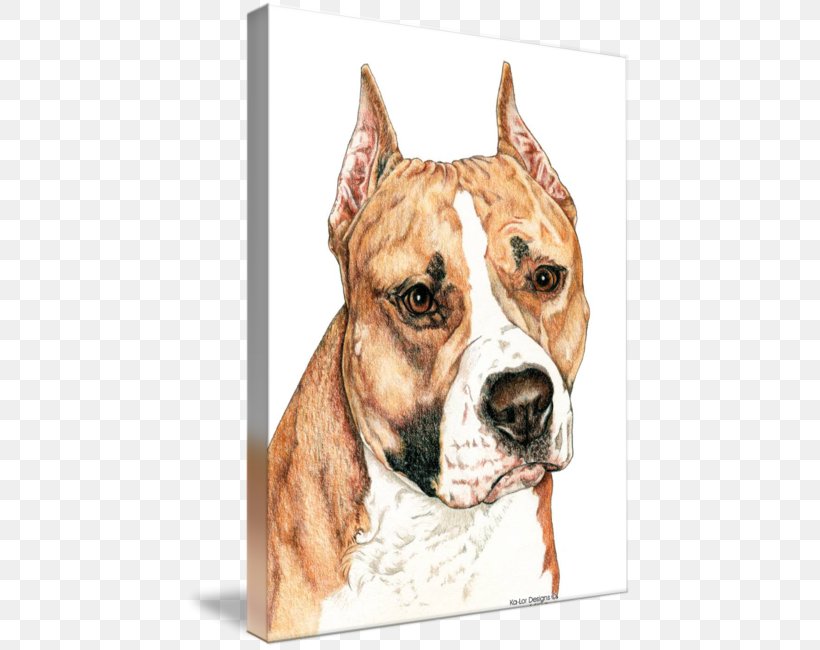 American Staffordshire Terrier American Pit Bull Terrier Staffordshire Bull Terrier, PNG, 447x650px, American Staffordshire Terrier, American Pit Bull Terrier, Art, Breed, Bull Download Free