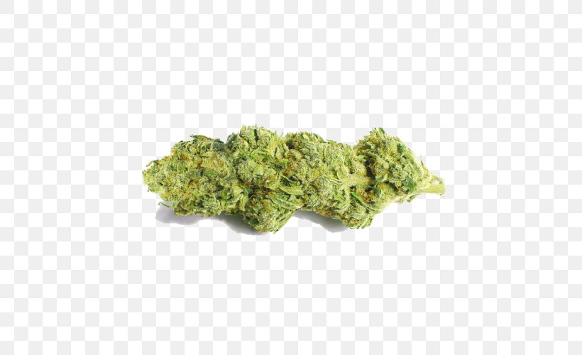 Cannabidiol Haze Tetrahydrocannabinol Cannabis CBDexpress.at, PNG, 500x500px, Cannabidiol, Broccoli, Cannabis, Cruciferous Vegetables, Flower Download Free