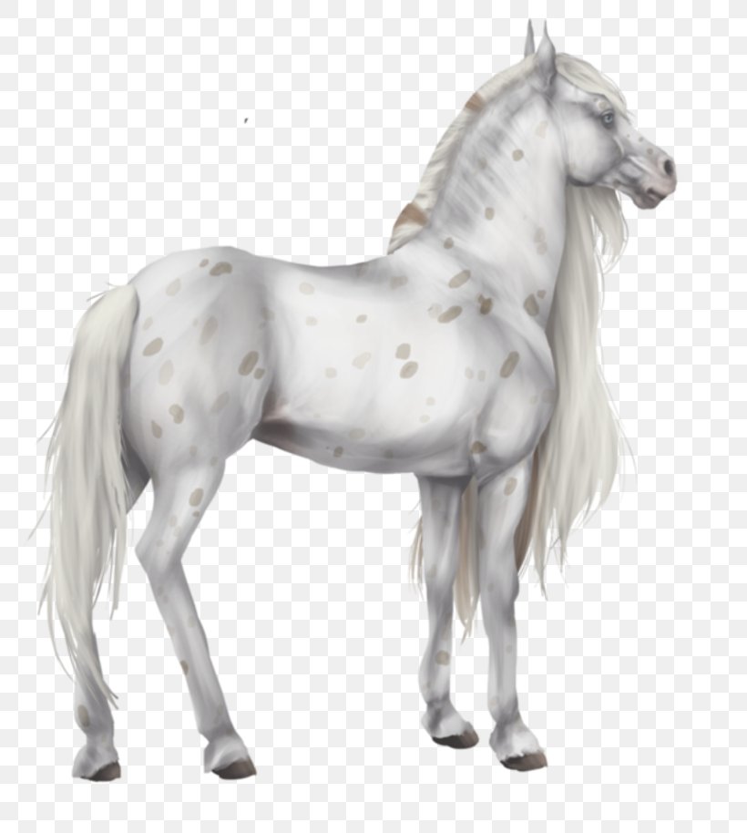 Foal Stallion Colt Mustang Pony, PNG, 800x914px, Foal, Animal Figure, Bridle, Colt, Figurine Download Free