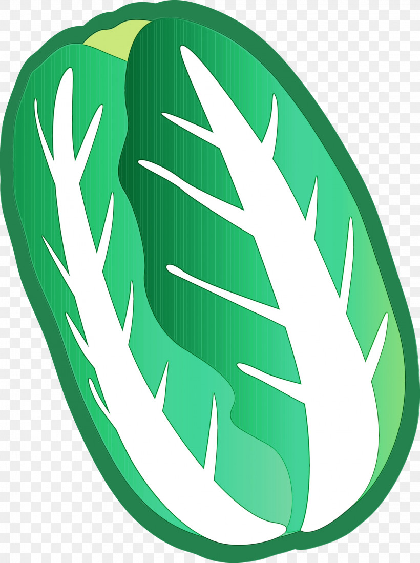Green Leaf Logo Plant, PNG, 2237x3000px, Nappa Cabbage, Green, Leaf, Logo, Paint Download Free