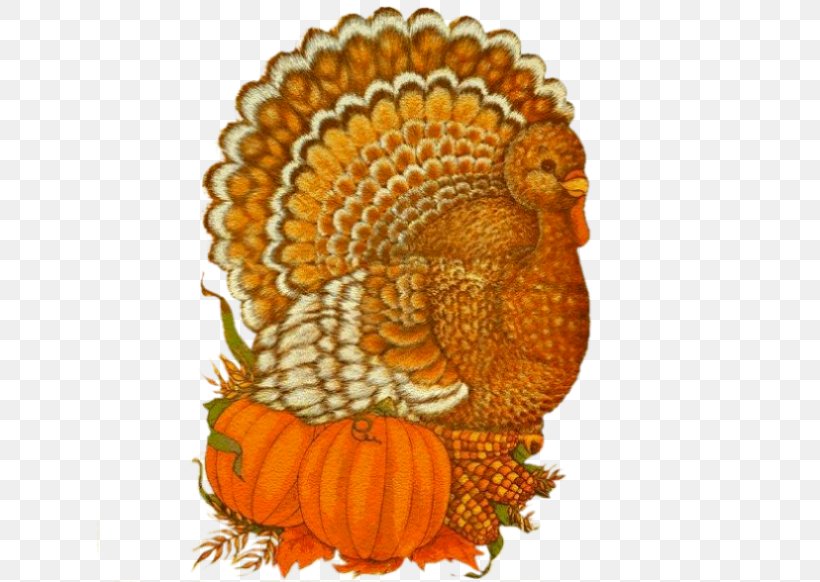 Thanksgiving GOURD+m Flower, PNG, 626x582px, Thanksgiving, Chicken, Chicken As Food, Cucurbita, Flower Download Free