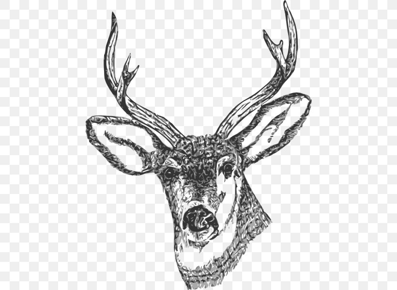 White-tailed Deer Reindeer Clip Art, PNG, 468x598px, Deer, Antler, Black And White, Drawing, Fauna Download Free