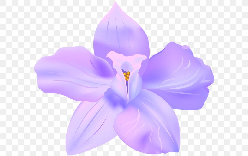 Art Clip Art, PNG, 600x516px, Art, Art Museum, Crocus, Flower, Flowering Plant Download Free