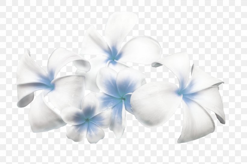 Cut Flowers Floral Design Tulip Color, PNG, 3000x2000px, Flower, Blue, Color, Cut Flowers, Floral Design Download Free