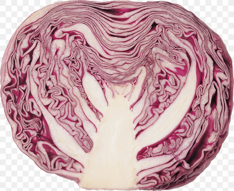 Red Cabbage Coleslaw Vegetable Clip Art, PNG, 2193x1795px, Red Cabbage, Brassica Oleracea, Capitata Group, Cauliflower, Coleslaw Download Free