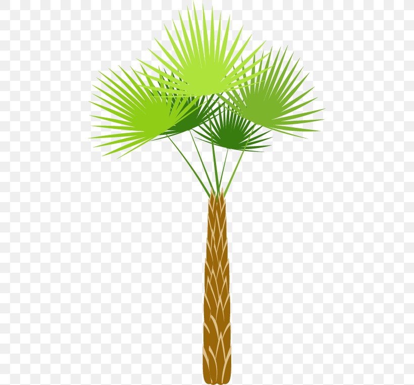 Tree Shrub, PNG, 471x762px, Tree, Arecales, Borassus Flabellifer, Caricature, Cartoon Download Free