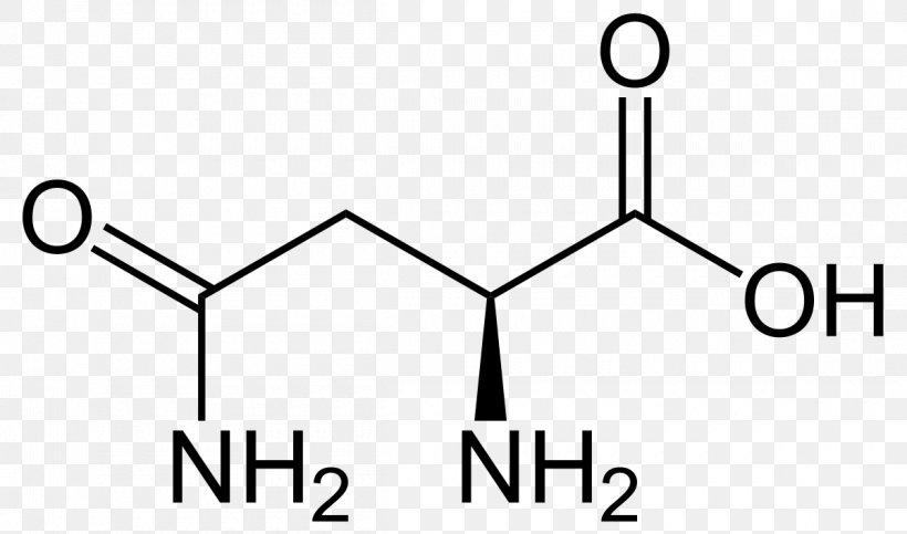 Aspartic Acid Glucogenic Amino Acid Asparagine, PNG, 1200x708px, Aspartic Acid, Acid, Alanine, Amine, Amino Acid Download Free