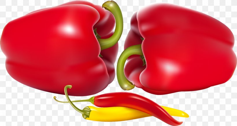 Bell Pepper Poblano Chili Pepper Vegetable, PNG, 1500x796px, Bell Pepper, Allium Fistulosum, Bell Peppers And Chili Peppers, Bird S Eye Chili, Capsicum Download Free