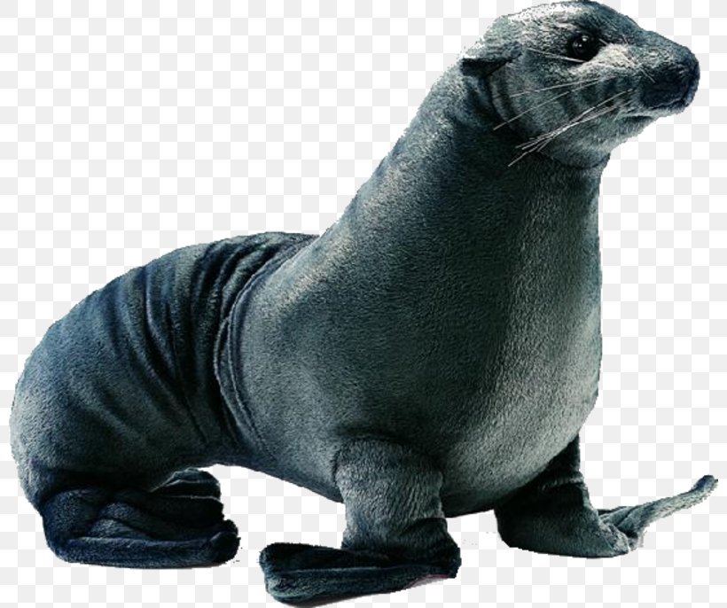 Earless Seal Eared Seal Plush Stuffed Toy, PNG, 800x686px, Earless Seal, Animal, Aquatic Animal, Bear, Eared Seal Download Free