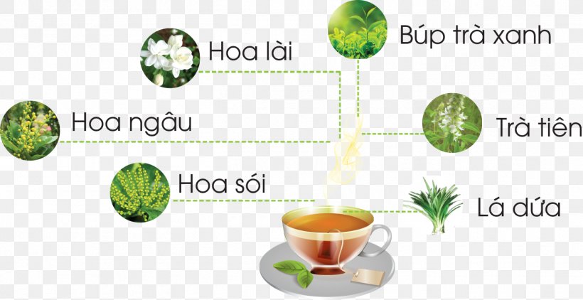 Ginseng Tea Pineapple Danang Matcha Bảo Lộc Ho Chi Minh City, PNG, 1357x699px, Tea, Brand, Food, Fruit, Green Tea Download Free