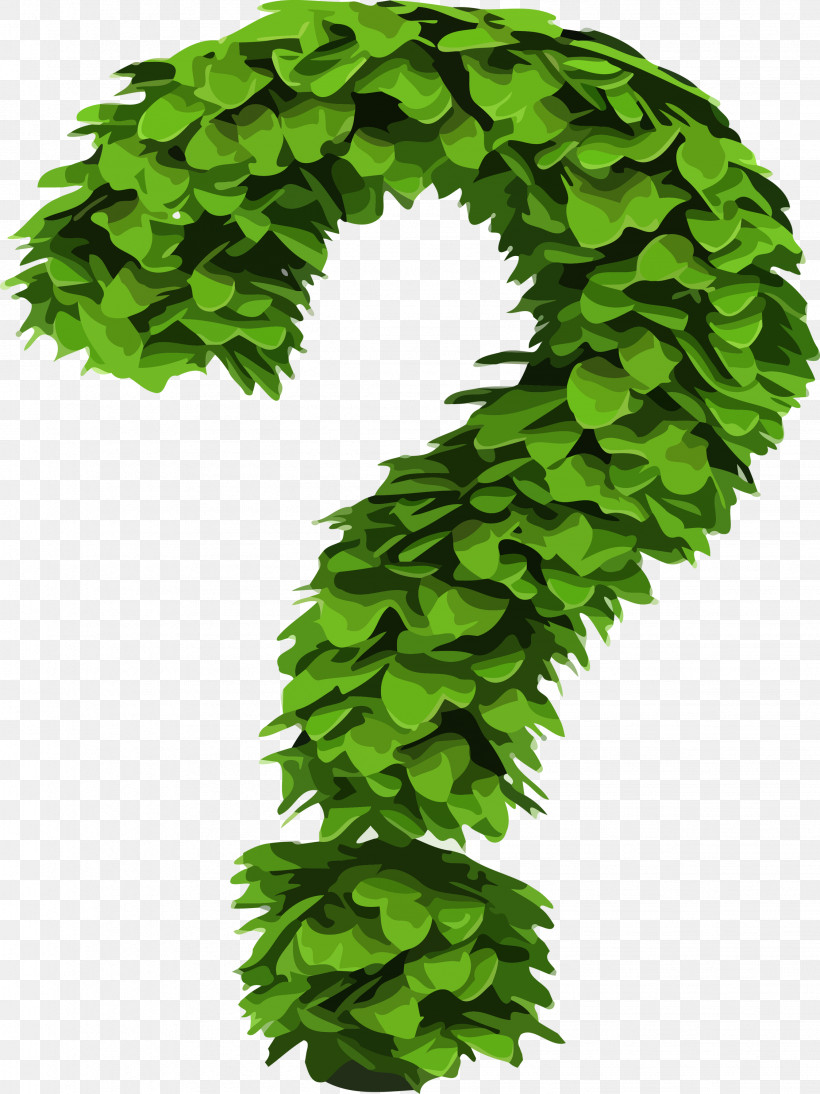 Leaf Green Plant Tree Grass, PNG, 2247x3000px, Question Mark, Cartoon, Flower, Grass, Green Download Free