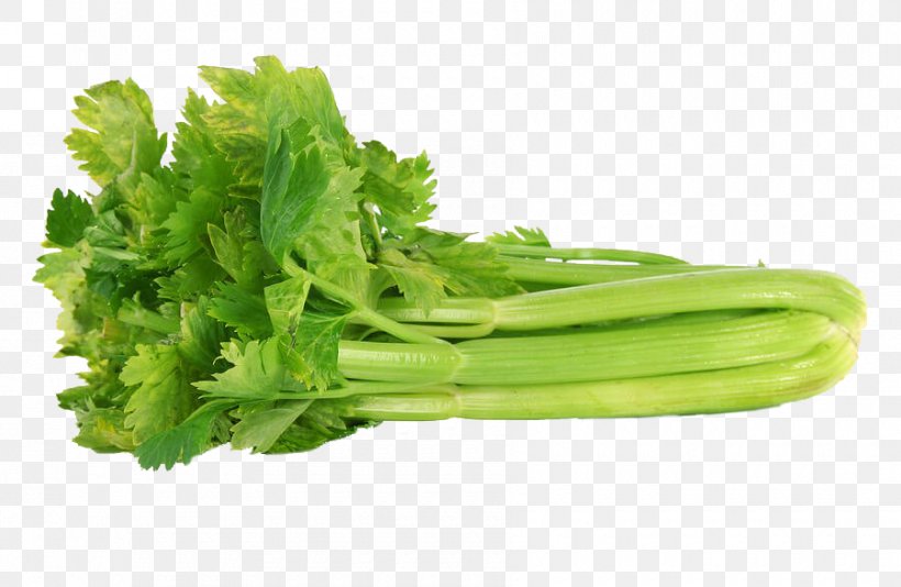 Celery in chinese