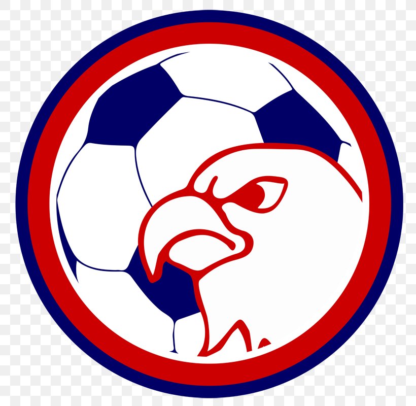 Austintown Fitch High School World Cup Football Girls Soccer, PNG, 800x800px, World Cup, Area, Artwork, Ball, Fifa Download Free