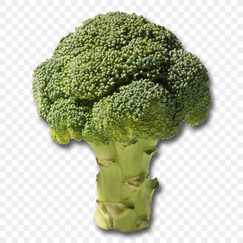 Broccoli Slaw Vegetable Broccoli Florets Vegetarian Cuisine, PNG, 1200x1200px, Broccoli, Broccoflower, Broccoli Florets, Broccoli Slaw, Cabbage Download Free