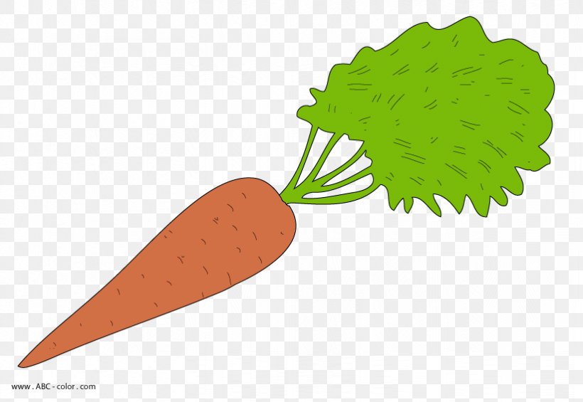 Carrot Cake Drawing Vegetable Clip Art, PNG, 822x567px, Carrot, Carrot Cake, Digital Image, Drawing, Food Download Free