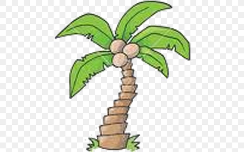 Coconut Arecaceae Drawing Coir Tree, PNG, 512x512px, Coconut, Arecaceae, Coir, Drawing, Flower Download Free